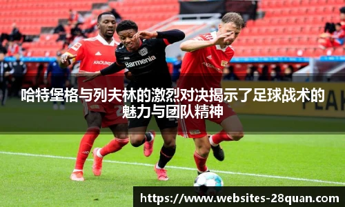 28圈娱乐