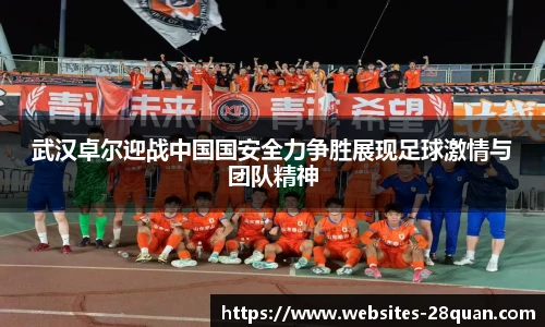 28圈游戏