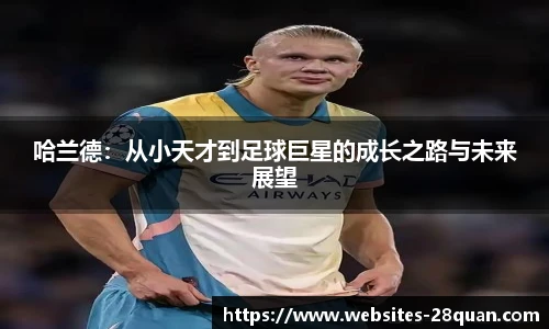 28圈游戏
